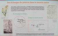 17b - Des echanges de plantes dans le monde entier.jpg